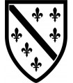 Car Tattoo Aufkleber Bosnien Wappen