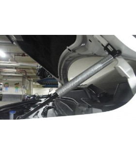 Subaru Impreza Jg. 01-02 Carbon Motor-Haubendämpfer