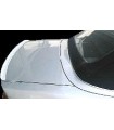 Heckklappenspoilerlippe BMW E46 Cabrio